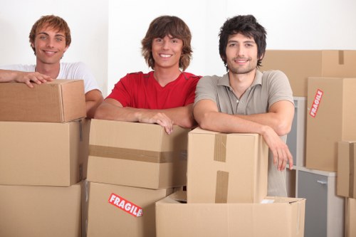 Visual for accessibility request support on Roehampton Removals pages