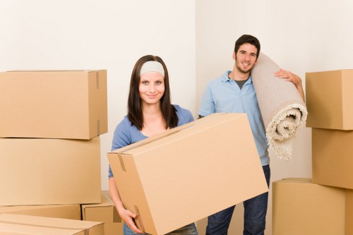 Professional man with a van in Roehampton handling furniture delivery