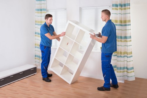 Roehampton man and van service transporting boxes and household items